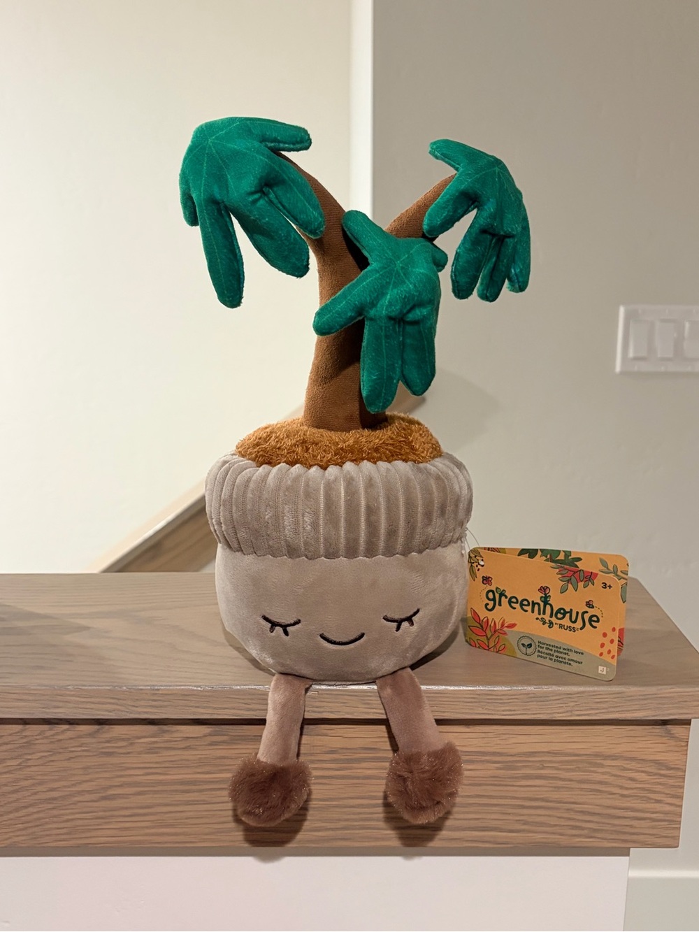 🌱 Greenhouse By Russ David the Money Tree Plush Potted Plant 12” BNWT